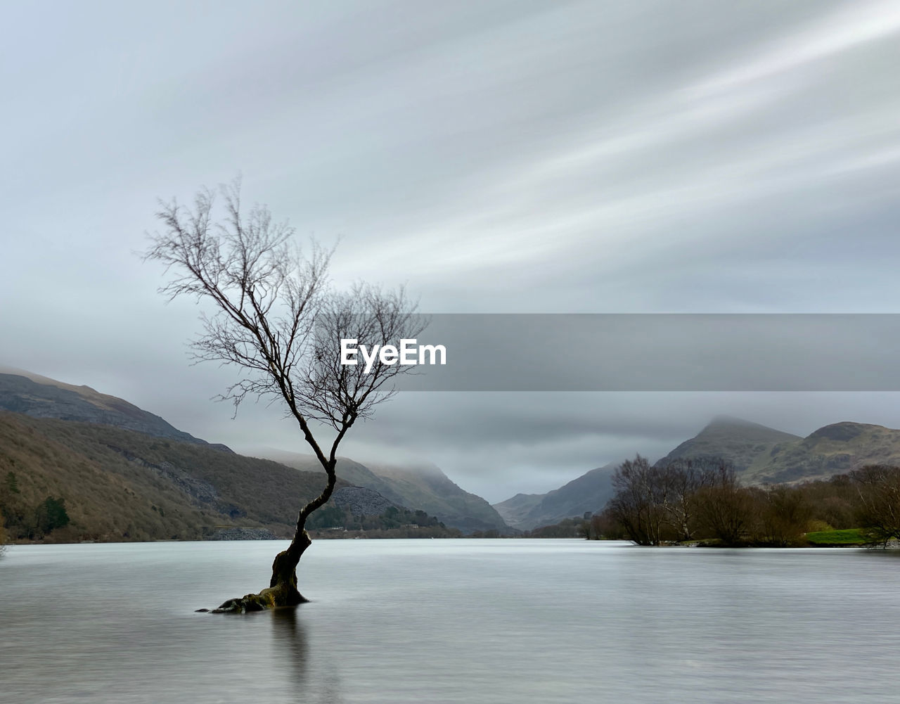 Bare tree by lake against sky