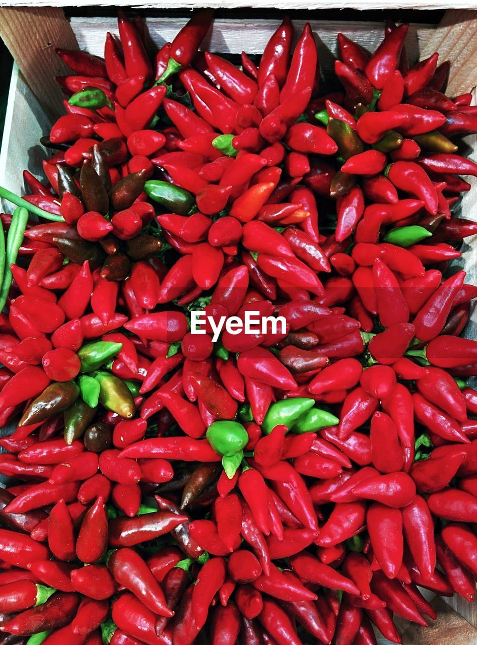 FULL FRAME SHOT OF RED CHILI PEPPERS