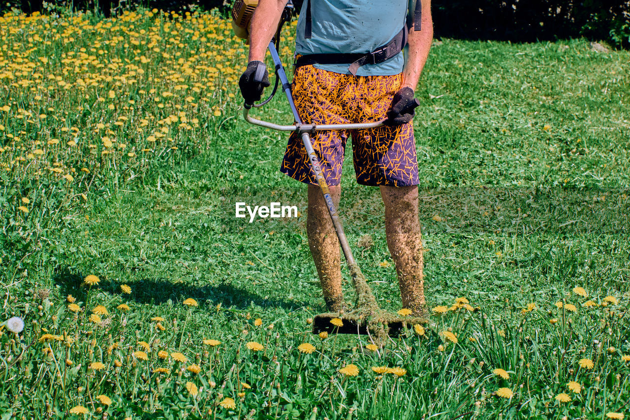 grass, lawn, plant, flower, one person, nature, agriculture, day, field, low section, meadow, green, growth, standing, adult, land, lifestyles, leisure activity, outdoors, yellow, casual clothing, sunlight, human leg, men, flowering plant, gardening, walking, soil, women, freshness, holding