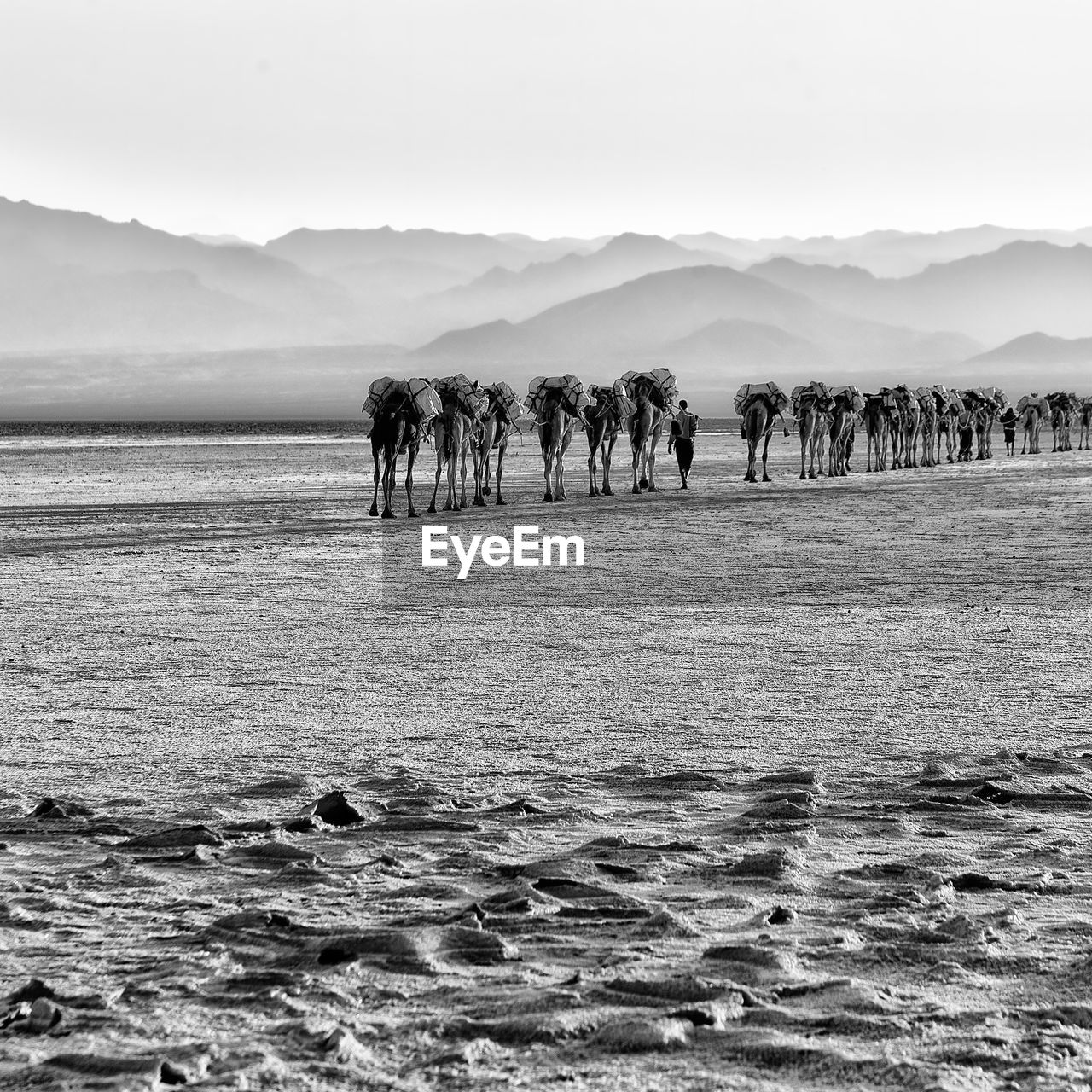 GROUP OF PEOPLE ON THE MOUNTAIN