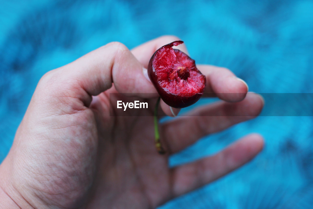Close-up of hand holding cherry