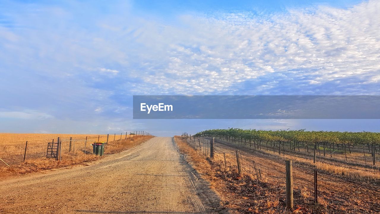 ROAD PASSING THROUGH AGRICULTURAL FIELD