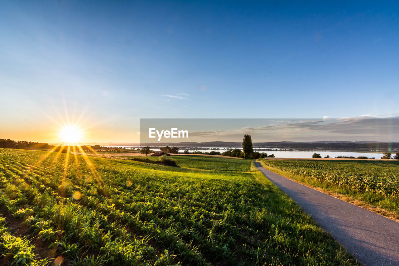 Scenic view of field against sky during sunset