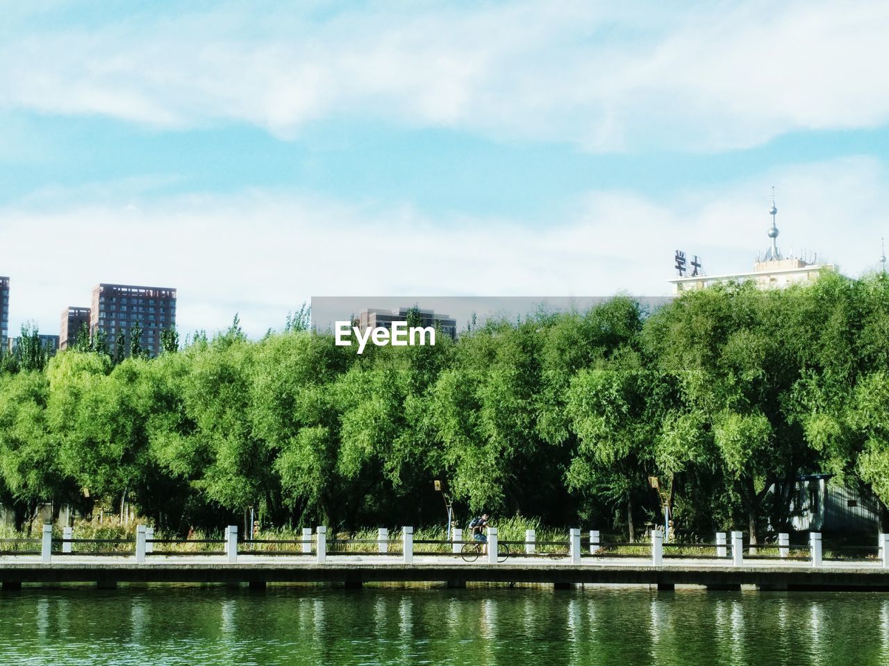 SCENIC VIEW OF RIVER WITH TREES IN BACKGROUND