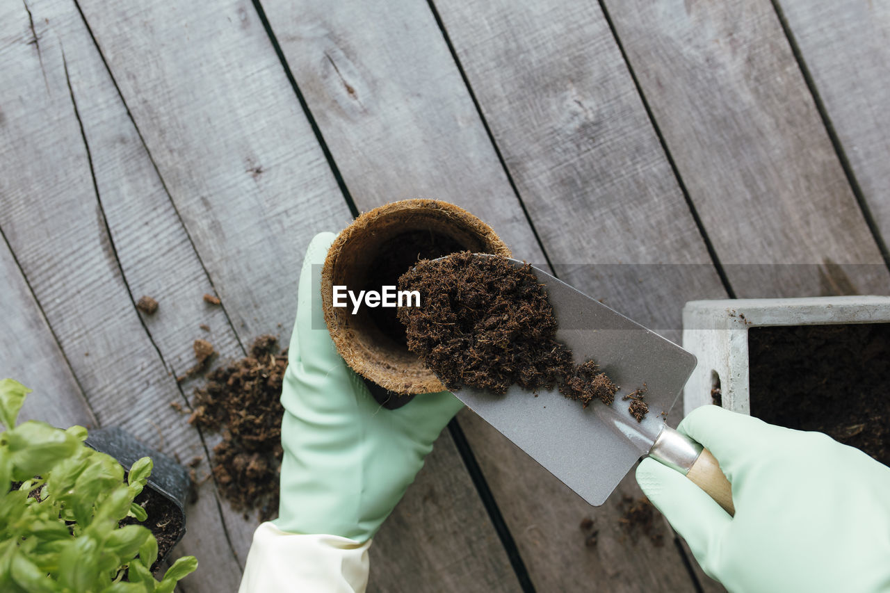 Gardening hobby concept. eco pot, green plant, gardener hands in gloves, shovel on wooden background