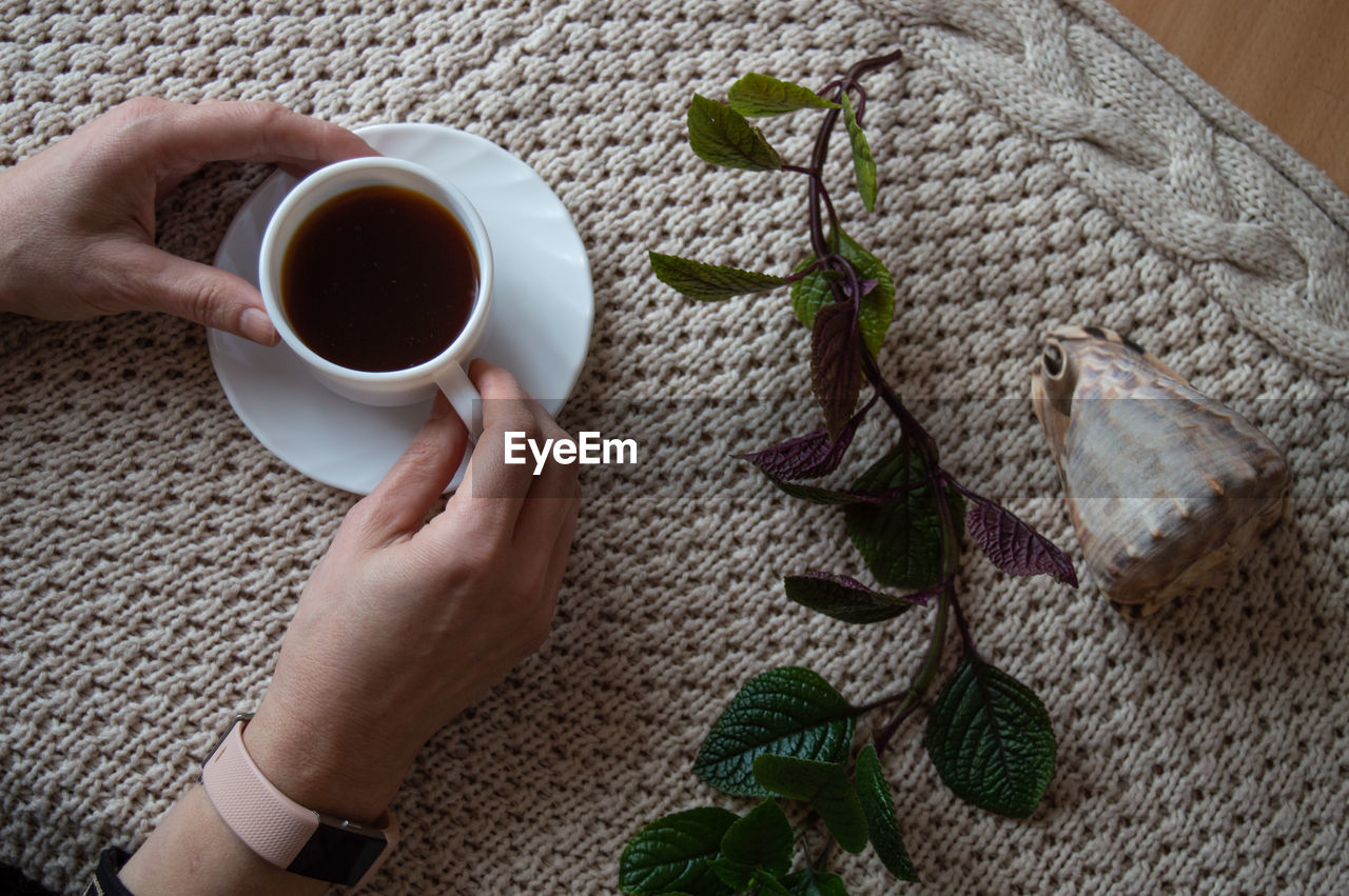 cropped hand of woman holding coffee