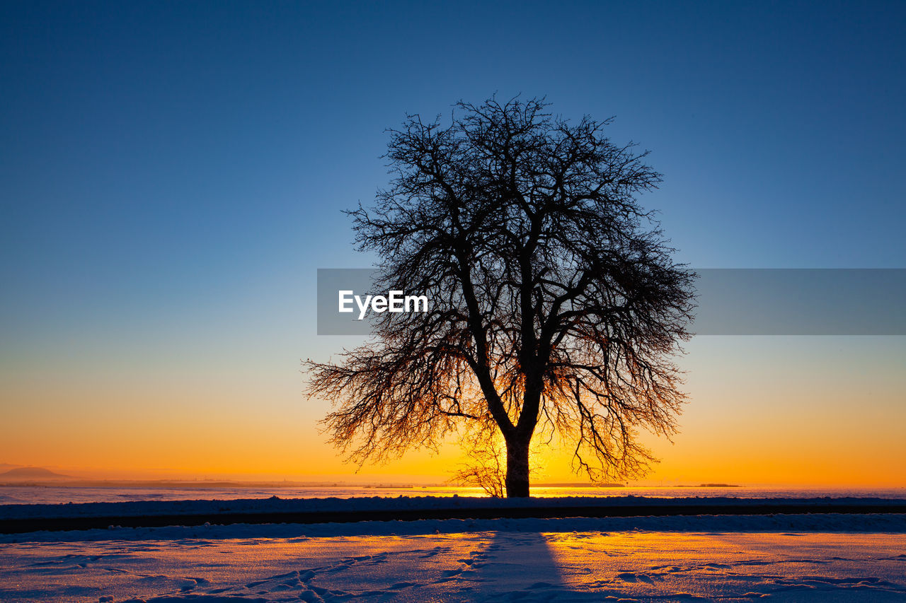 SILHOUETTE TREE ON SNOW COVERED LAND AGAINST SKY DURING SUNSET