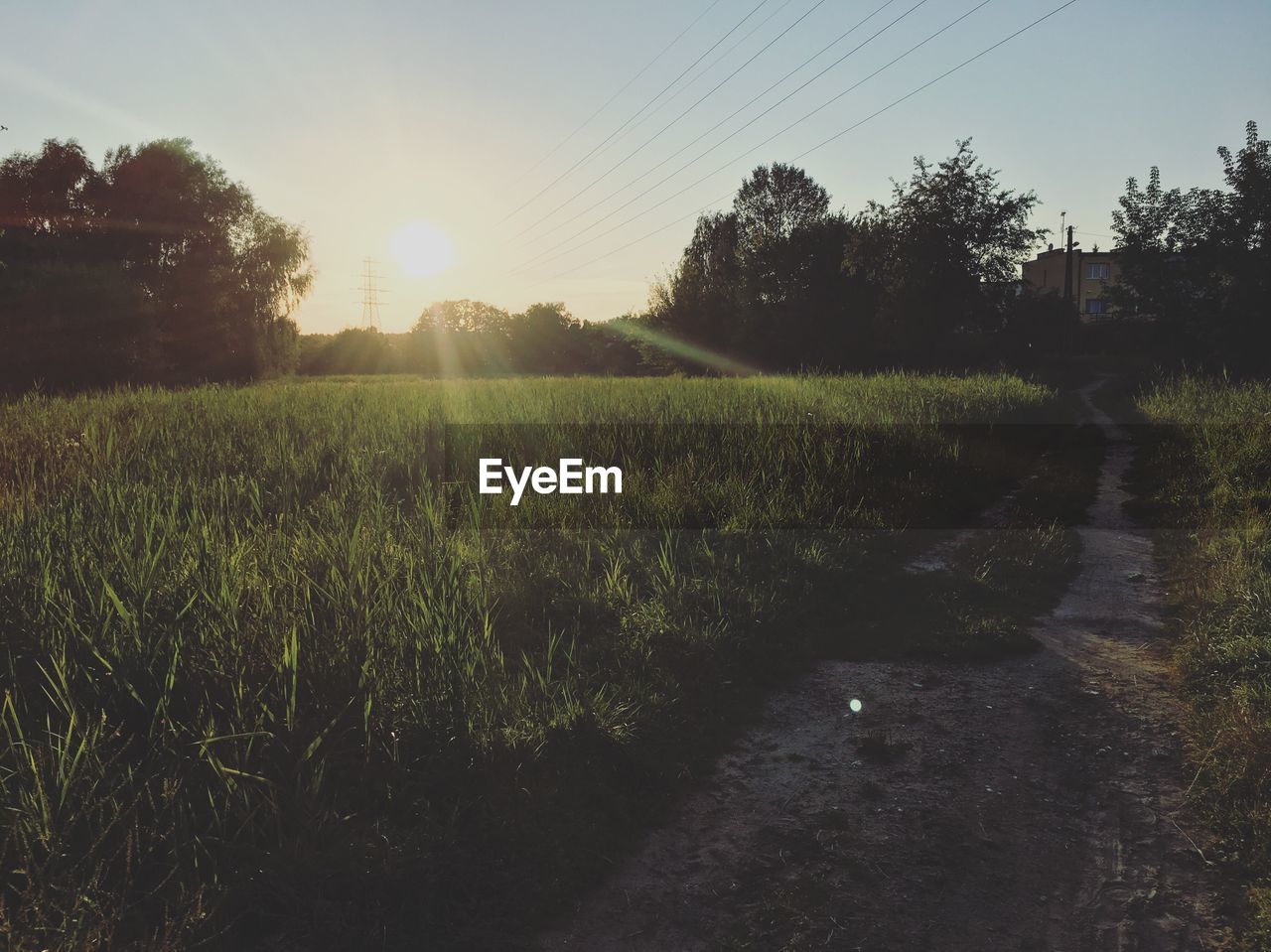 SCENIC VIEW OF AGRICULTURAL FIELD AGAINST SKY AT SUNSET