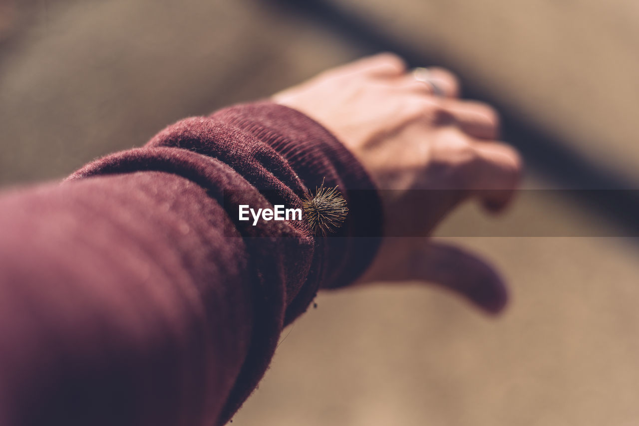 Close-up of human hand against blurred background