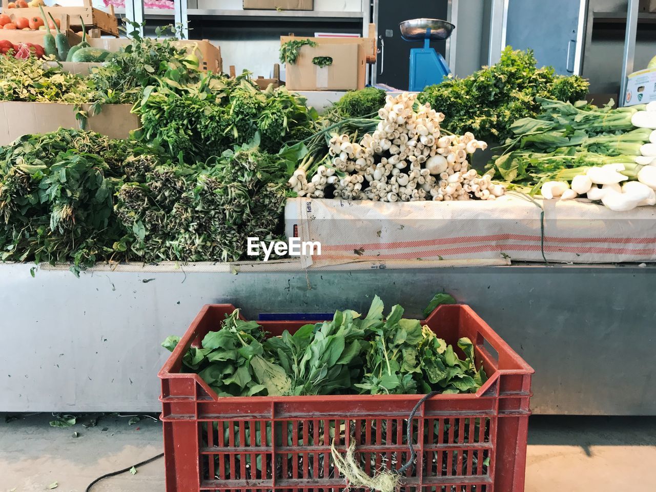 VEGETABLES FOR SALE IN MARKET STALL