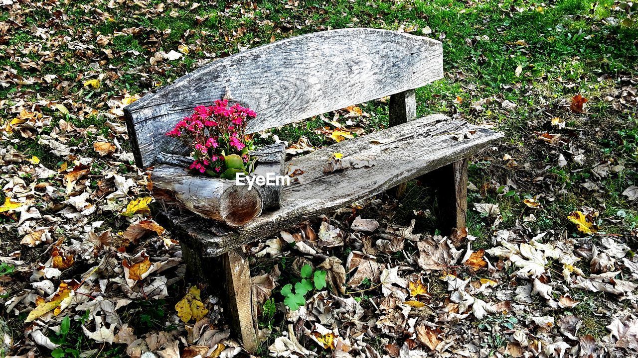 HIGH ANGLE VIEW OF WOOD AGAINST GRASS