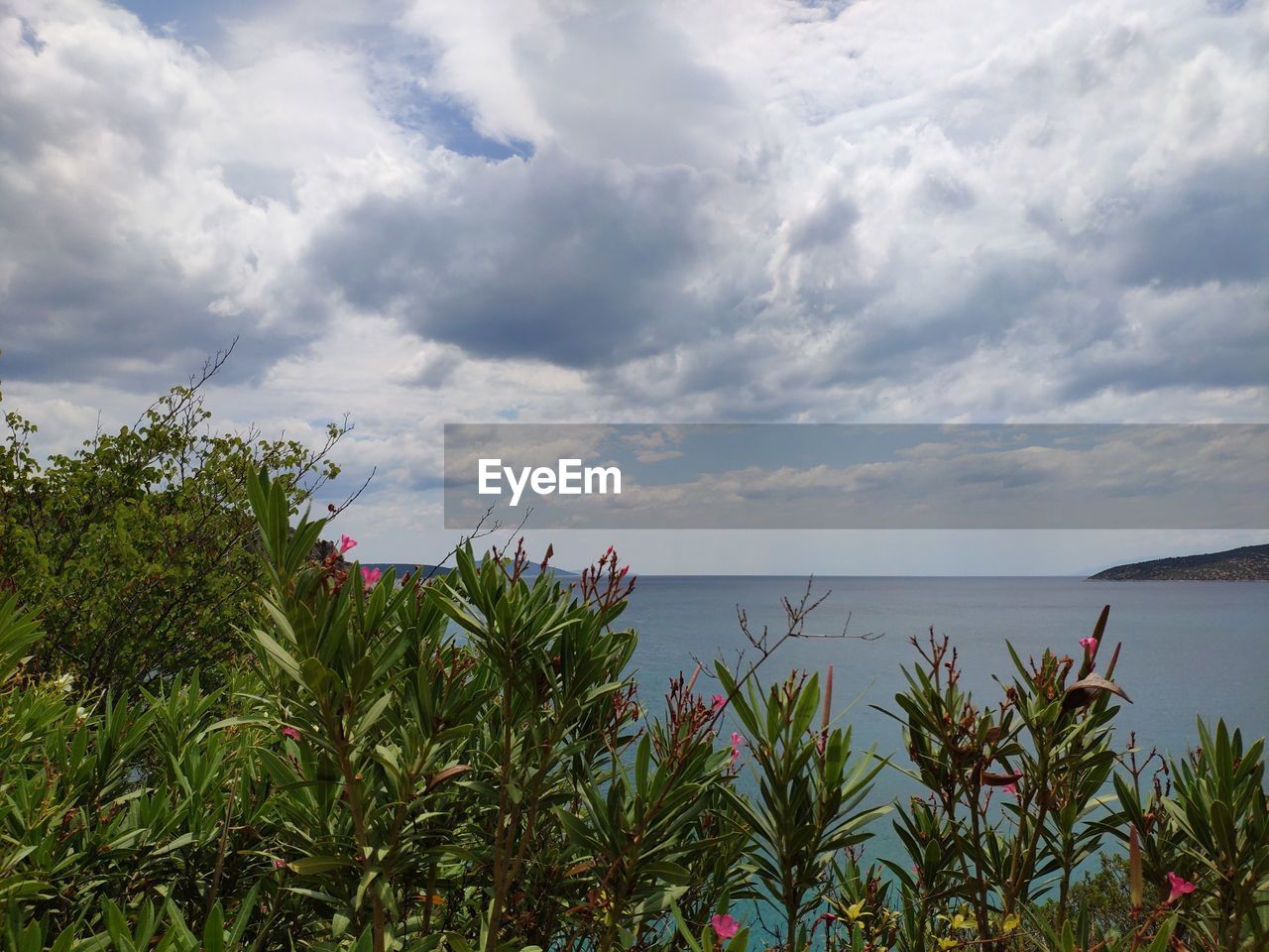 SCENIC VIEW OF SEA AND TREES AGAINST SKY