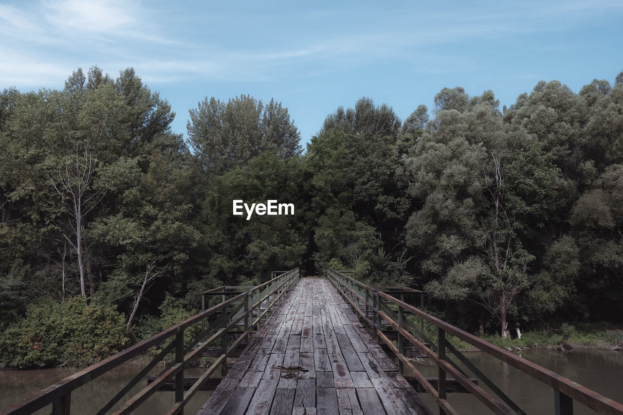 Footbridge amidst trees in forest against sky