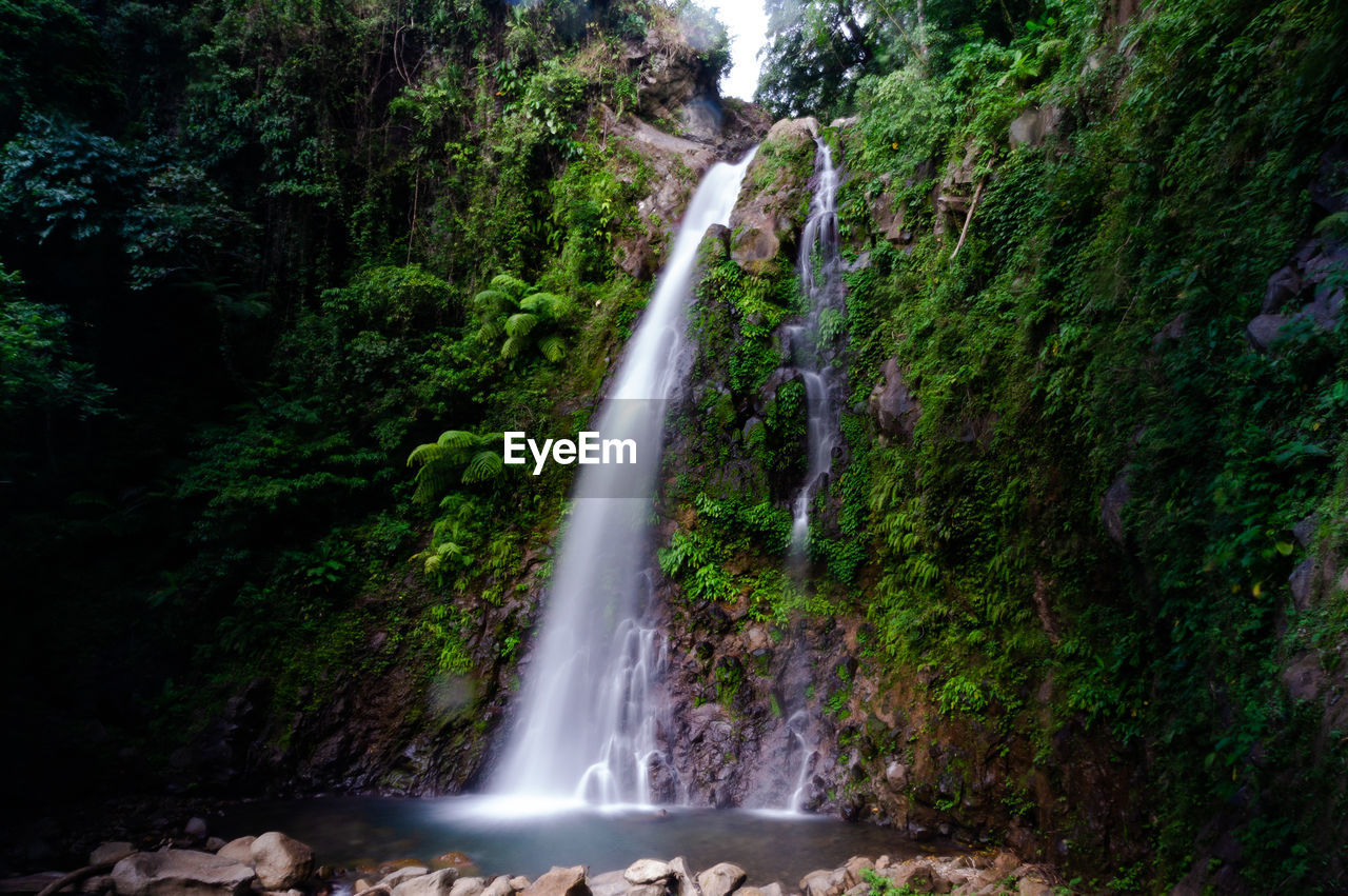 WATERFALL IN FOREST