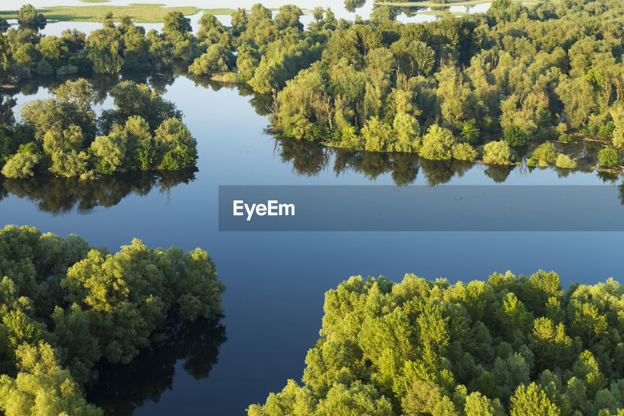 HIGH ANGLE VIEW OF PLANTS BY LAKE