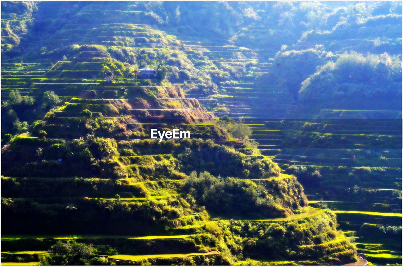 AERIAL VIEW OF AGRICULTURAL LANDSCAPE