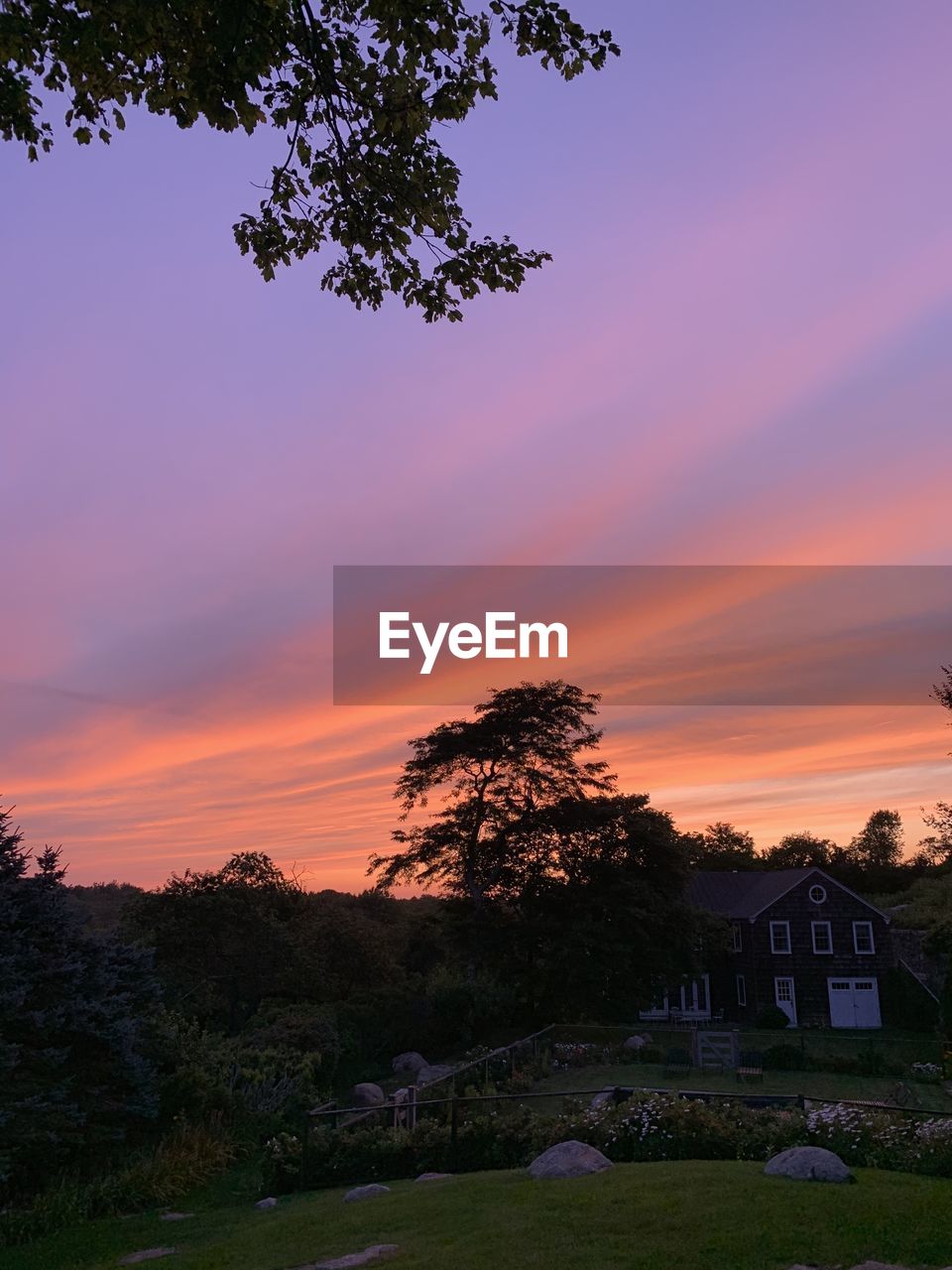 TREES AND HOUSES AGAINST SKY DURING SUNSET