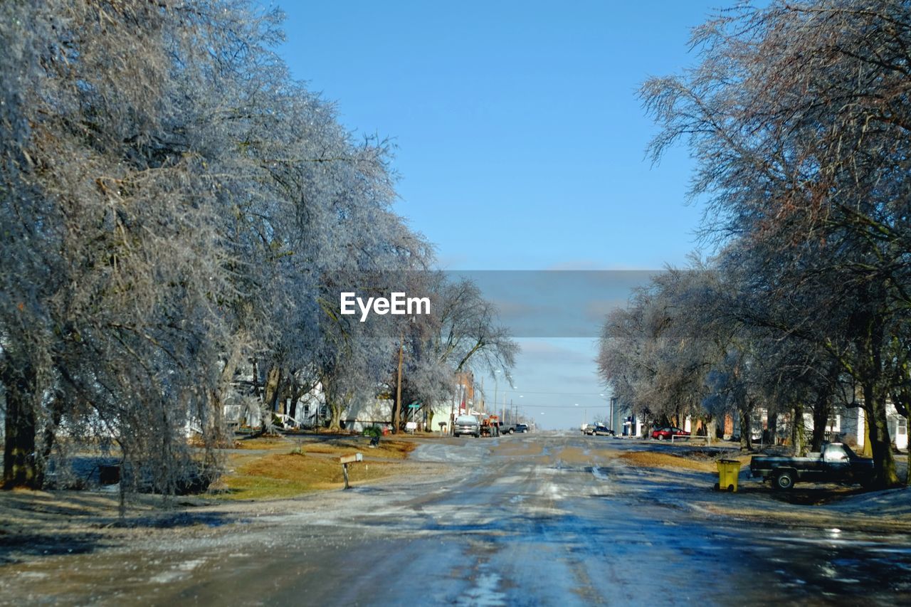 ROAD AMIDST TREES AGAINST CLEAR SKY