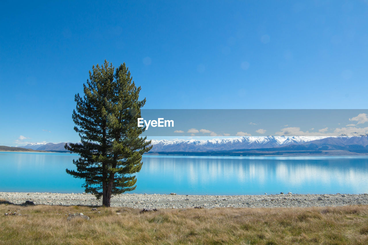 Scenic view of lake against clear blue sky