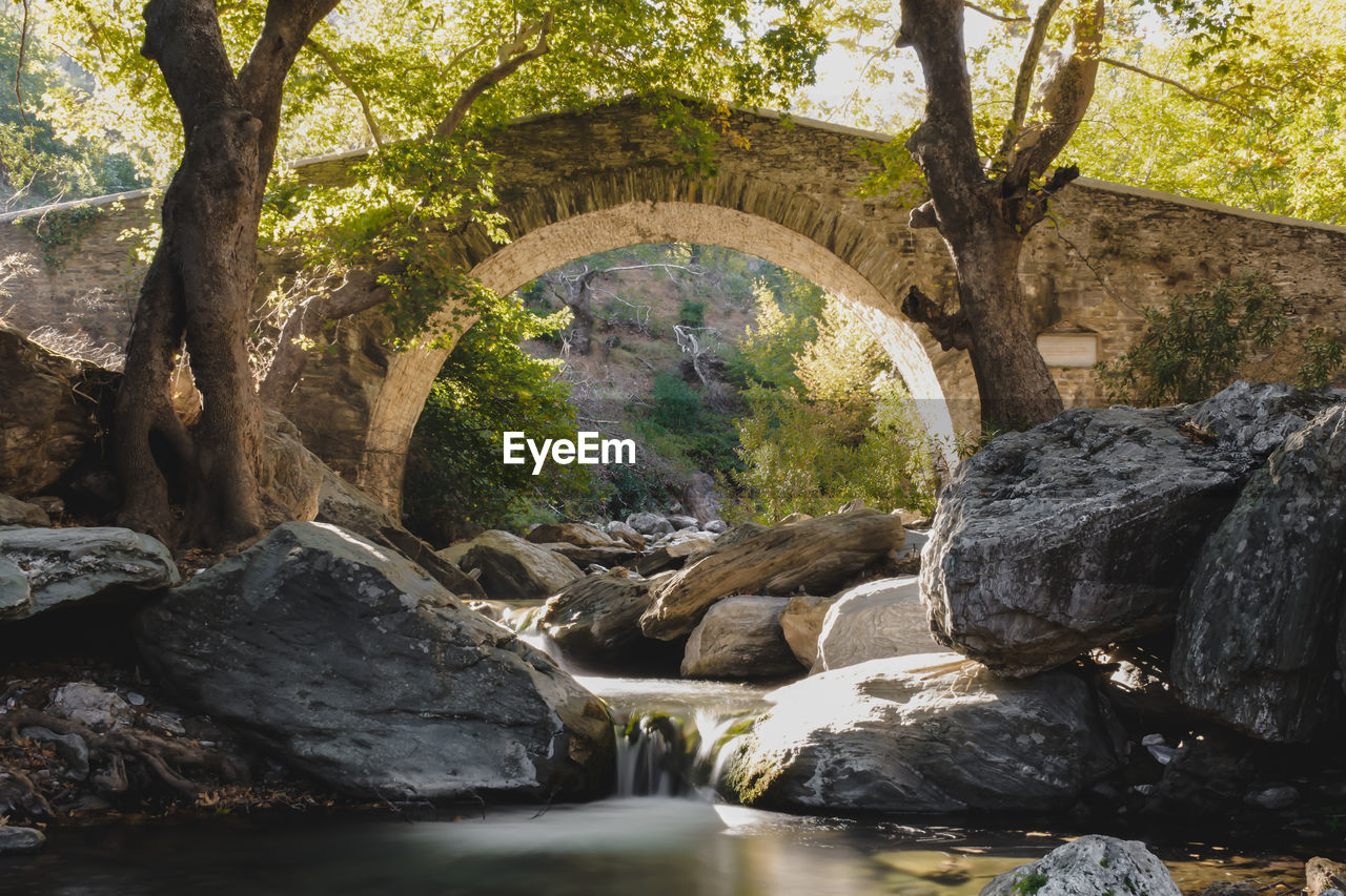 Arch bridge over river in forest