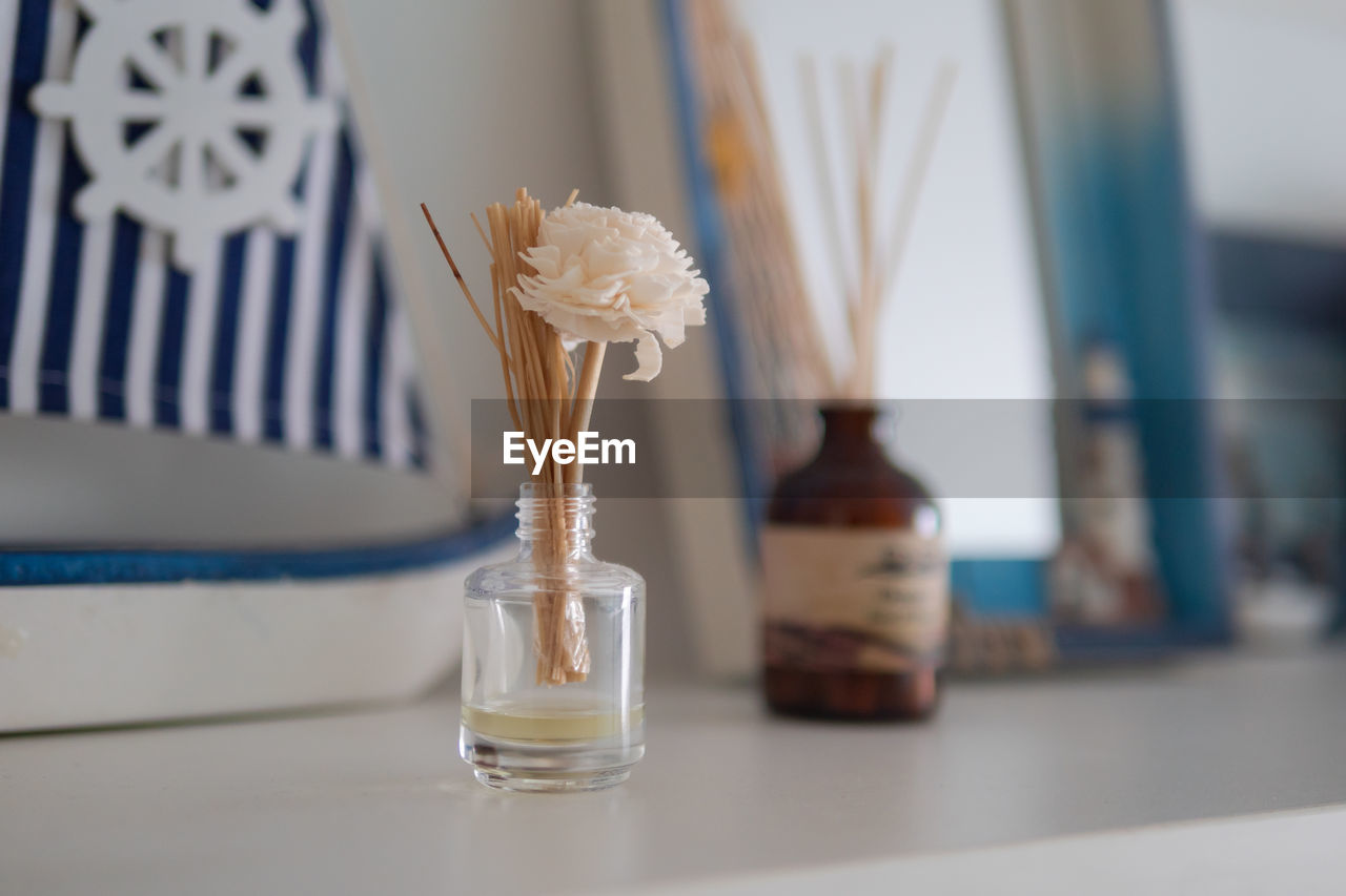 Close-up of white flower in vase on table