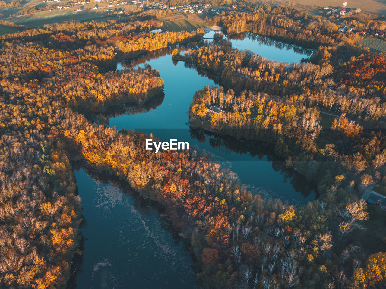 High angle view of lake in forest during autumn
