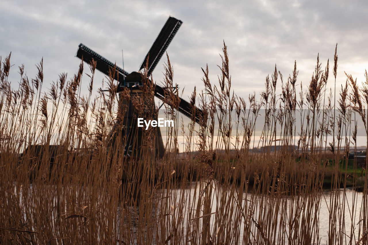 low angle view of windmill on field against sky