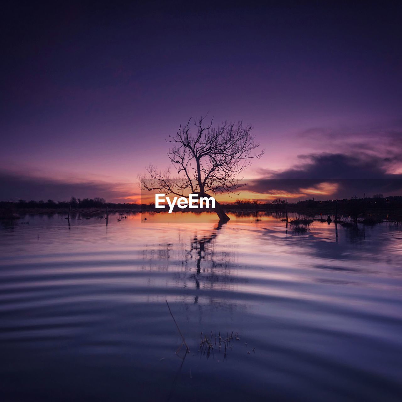 Scenic view of calm lake at sunset