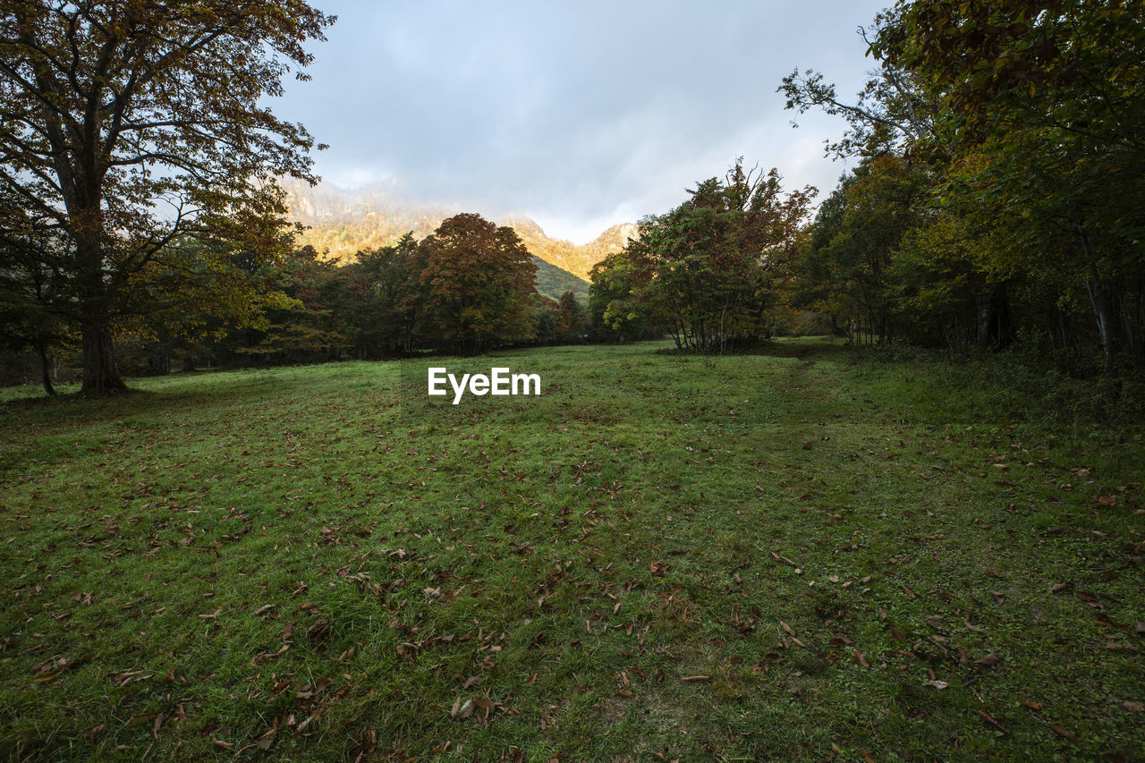 SCENIC VIEW OF LAND AGAINST SKY