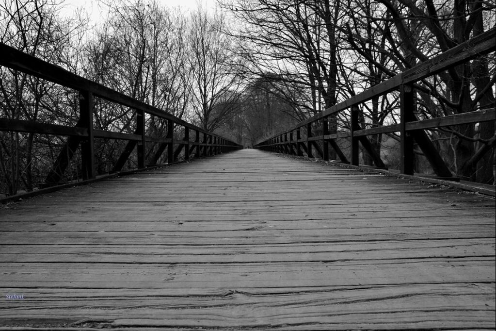 Footbridge amidst bare trees