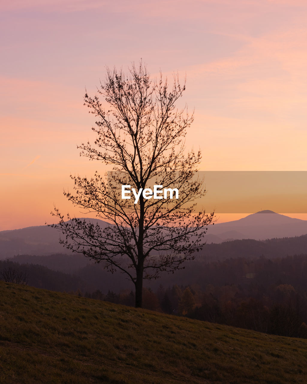 Sunrise in bohemian switzerland national park in czech republic seen from cross hill/ krizový vrch