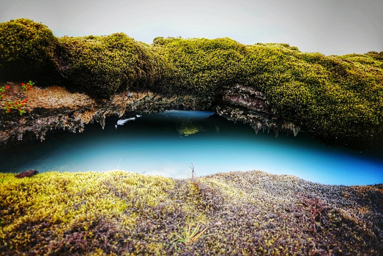 Moss covering rock at blue lagoon iceland