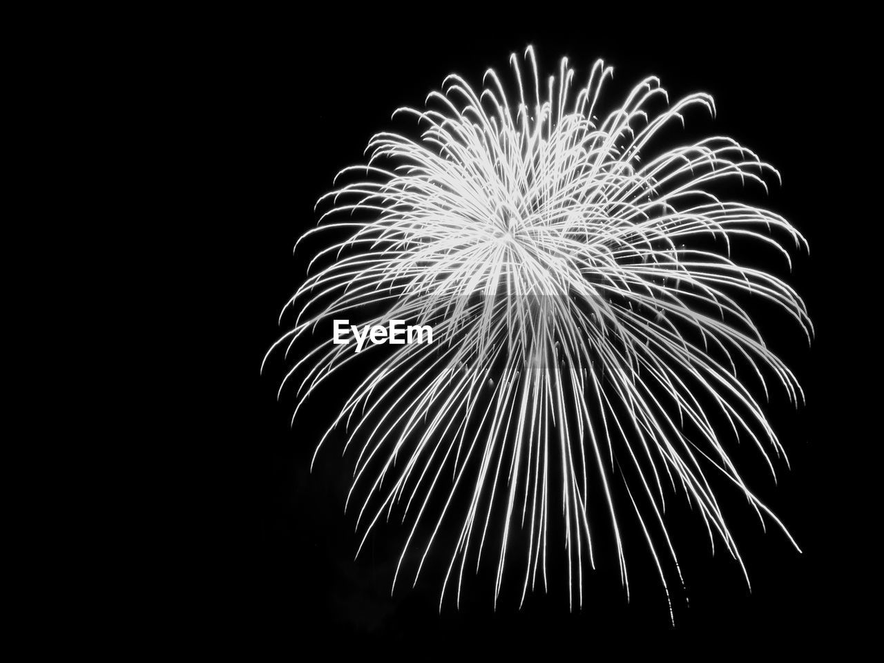 Low angle view of firework display against clear sky at night