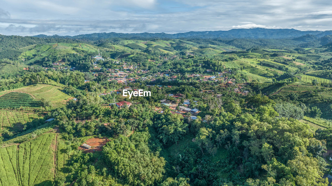 landscape, environment, plant, scenics - nature, tree, beauty in nature, land, nature, forest, hill, growth, green, sky, agriculture, rural scene, cloud, field, tranquility, no people, aerial photography, mountain range, crop, outdoors, rural area, tranquil scene, natural environment, vegetation, day, high angle view, foliage, flower, lush foliage, non-urban scene, valley, social issues, farm, plateau, travel, food and drink, idyllic, aerial view, architecture, ridge