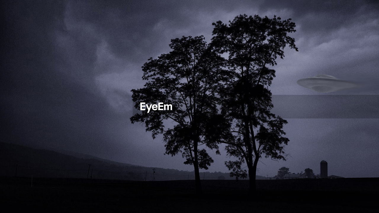 SILHOUETTE TREE AGAINST SKY AT DUSK