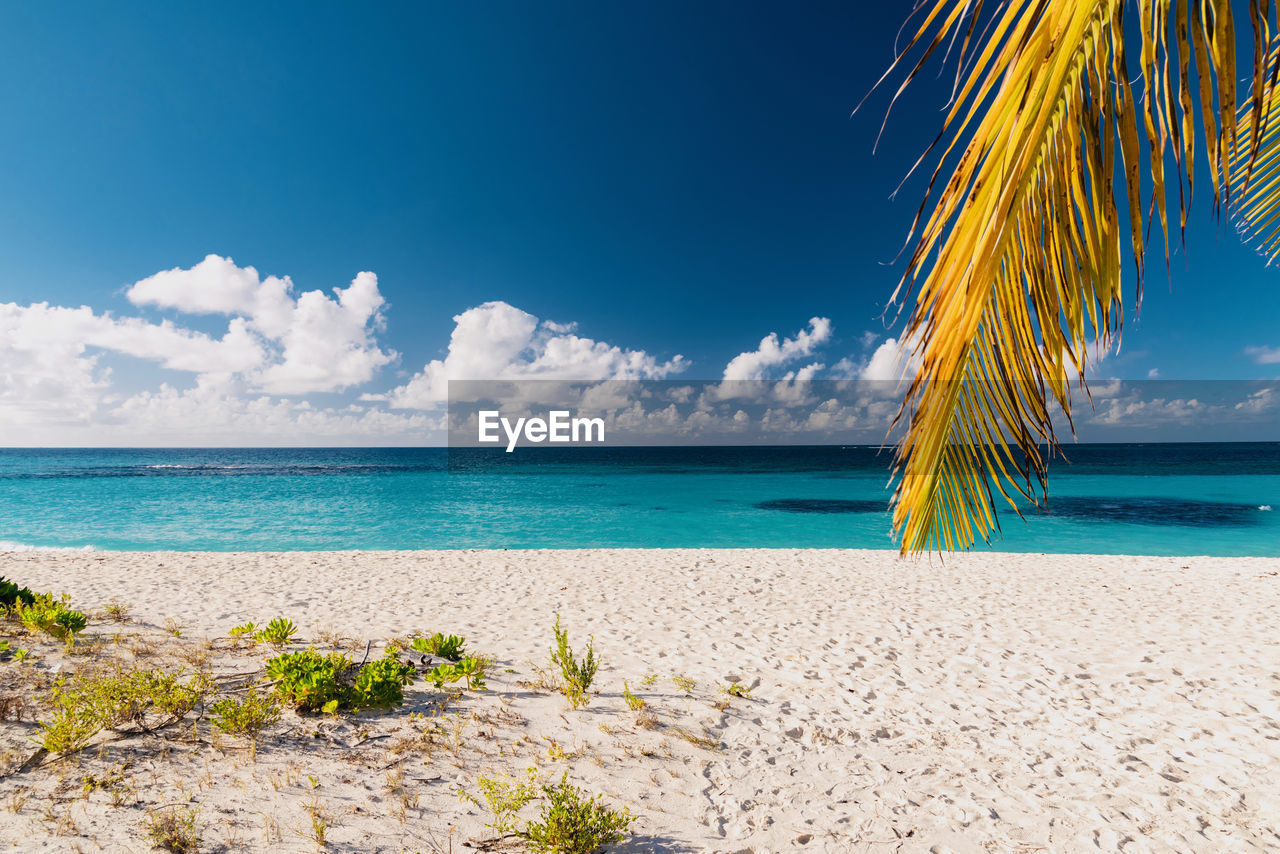 Scenic view of beach against blue sky