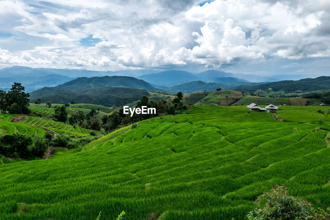 SCENIC VIEW OF AGRICULTURAL LANDSCAPE AGAINST SKY