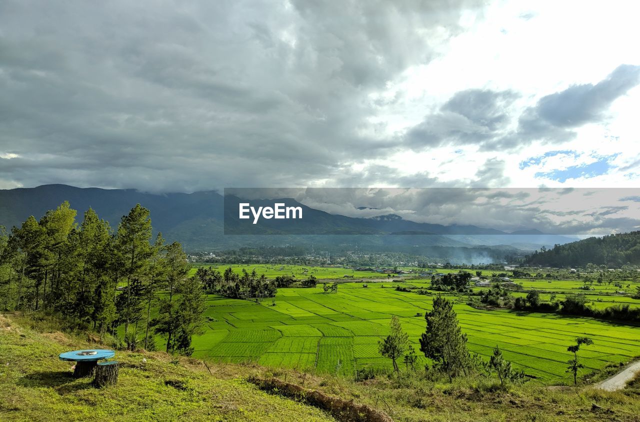 SCENIC VIEW OF FARMS AGAINST SKY