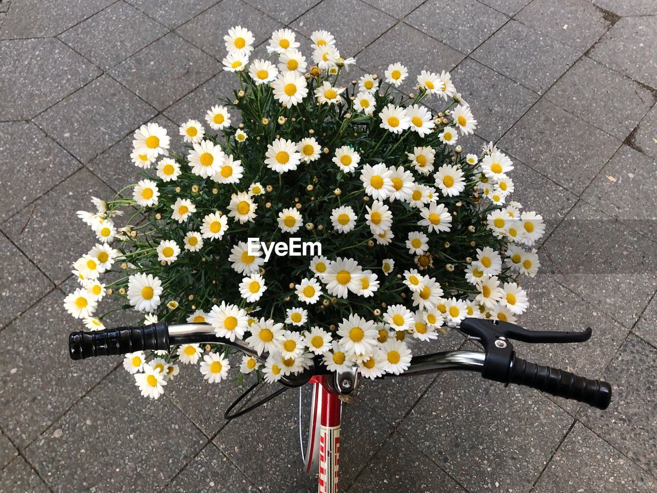 Flowers in bicycle basket