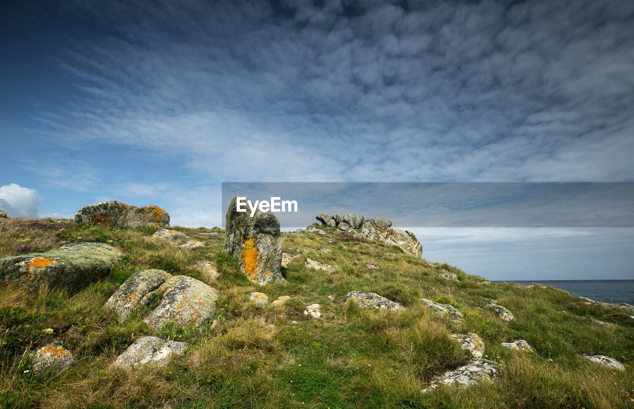 Plants growing on rocks by sea against sky