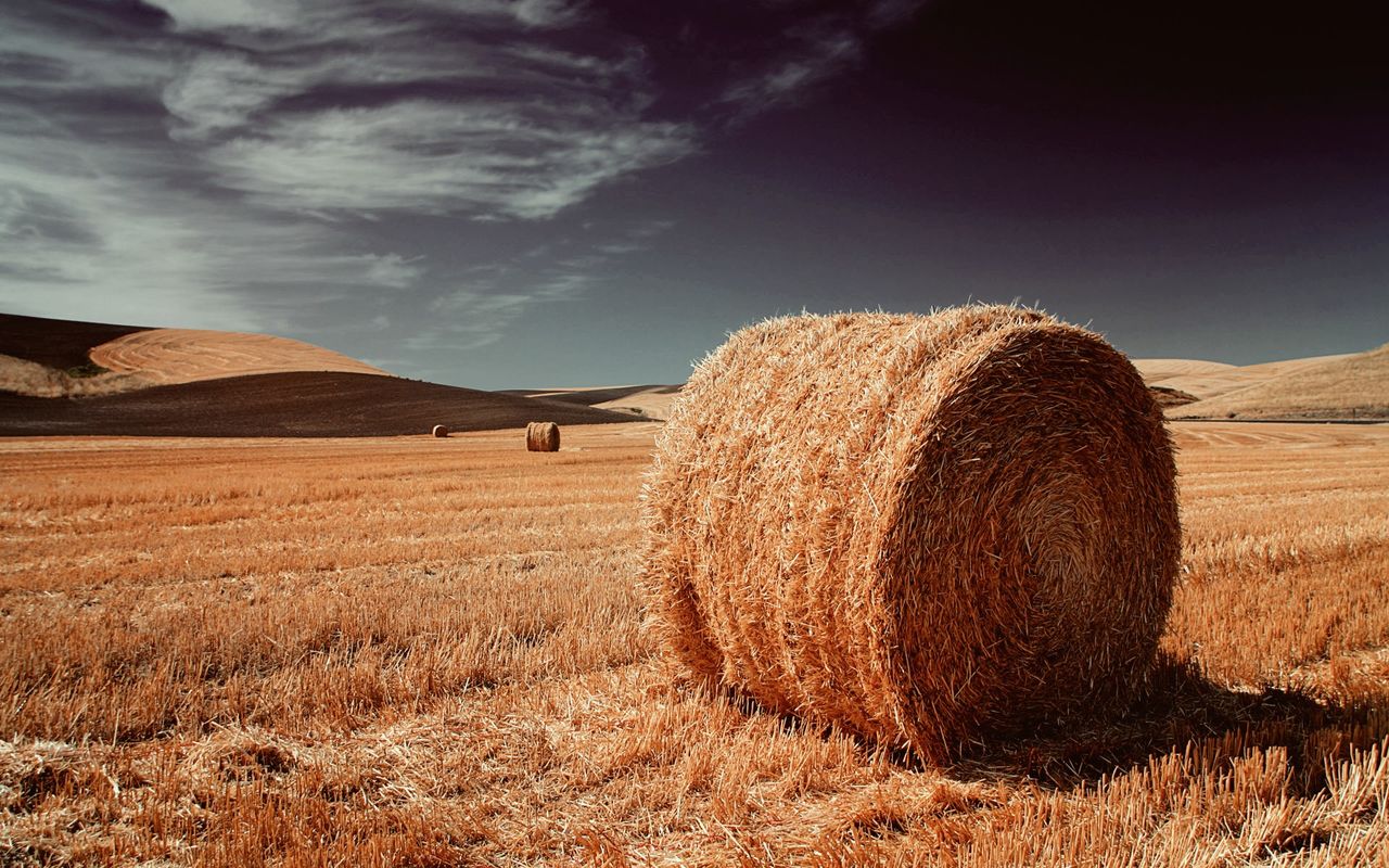 Hay bales on field against sky