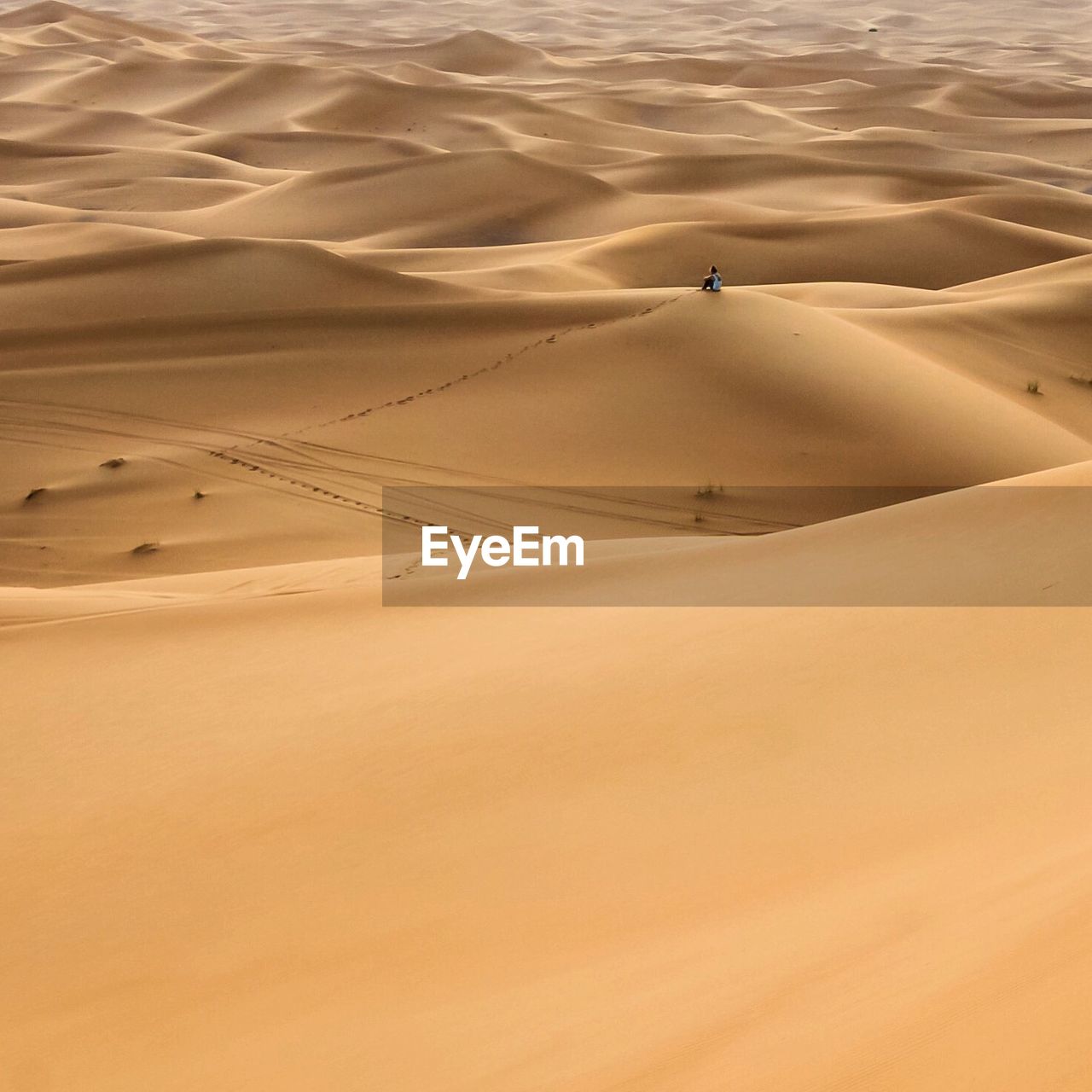 Distant view of man sitting on sand dune in desert
