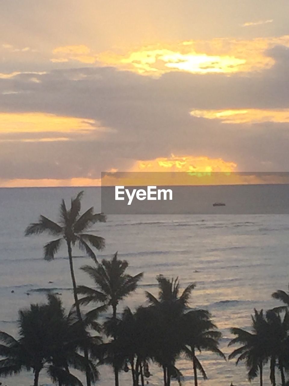 PALM TREES ON BEACH AGAINST SKY AT SUNSET