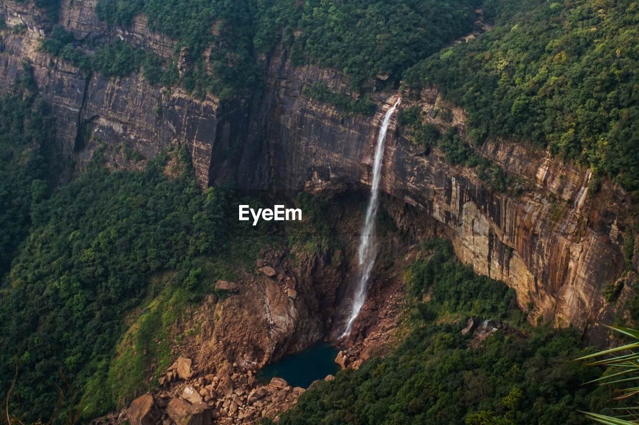 Scenic view of waterfall in forest