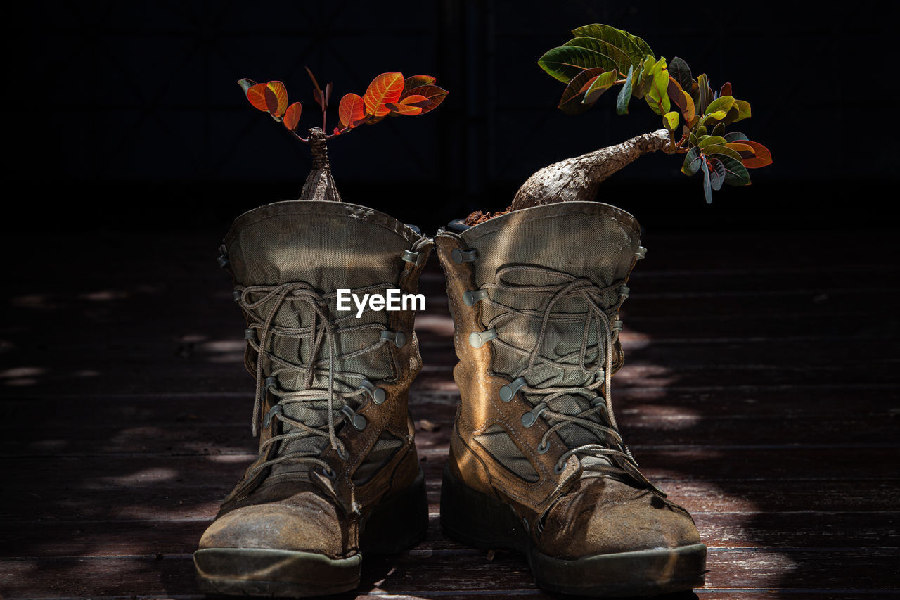 Plant the plants in the boots. 
