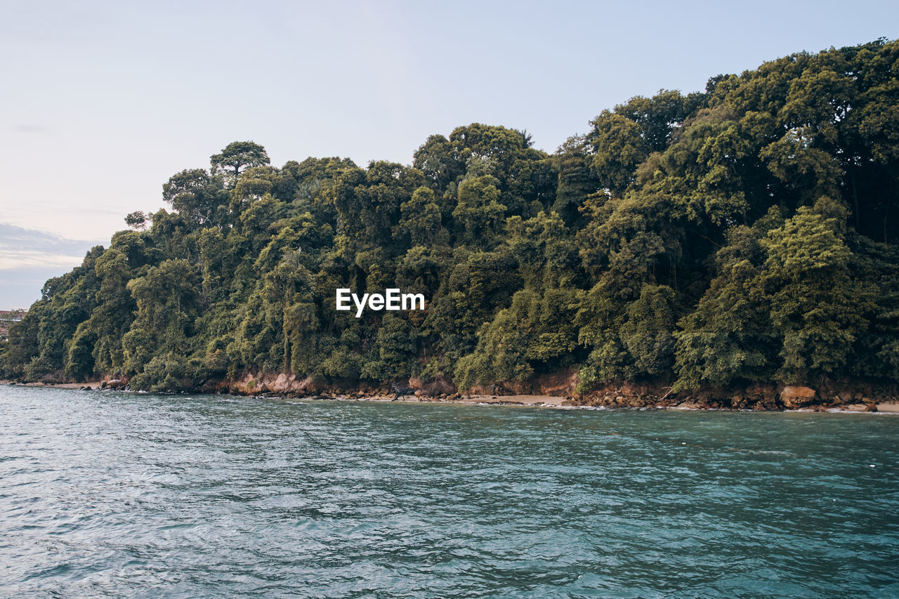 SCENIC VIEW OF SEA BY TREES AGAINST SKY