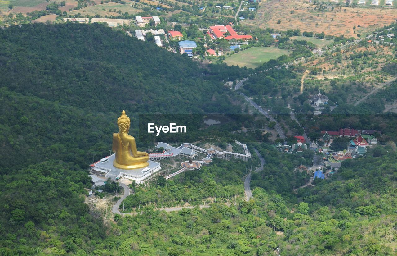 HIGH ANGLE VIEW OF STATUE AGAINST TREES AND PLANTS