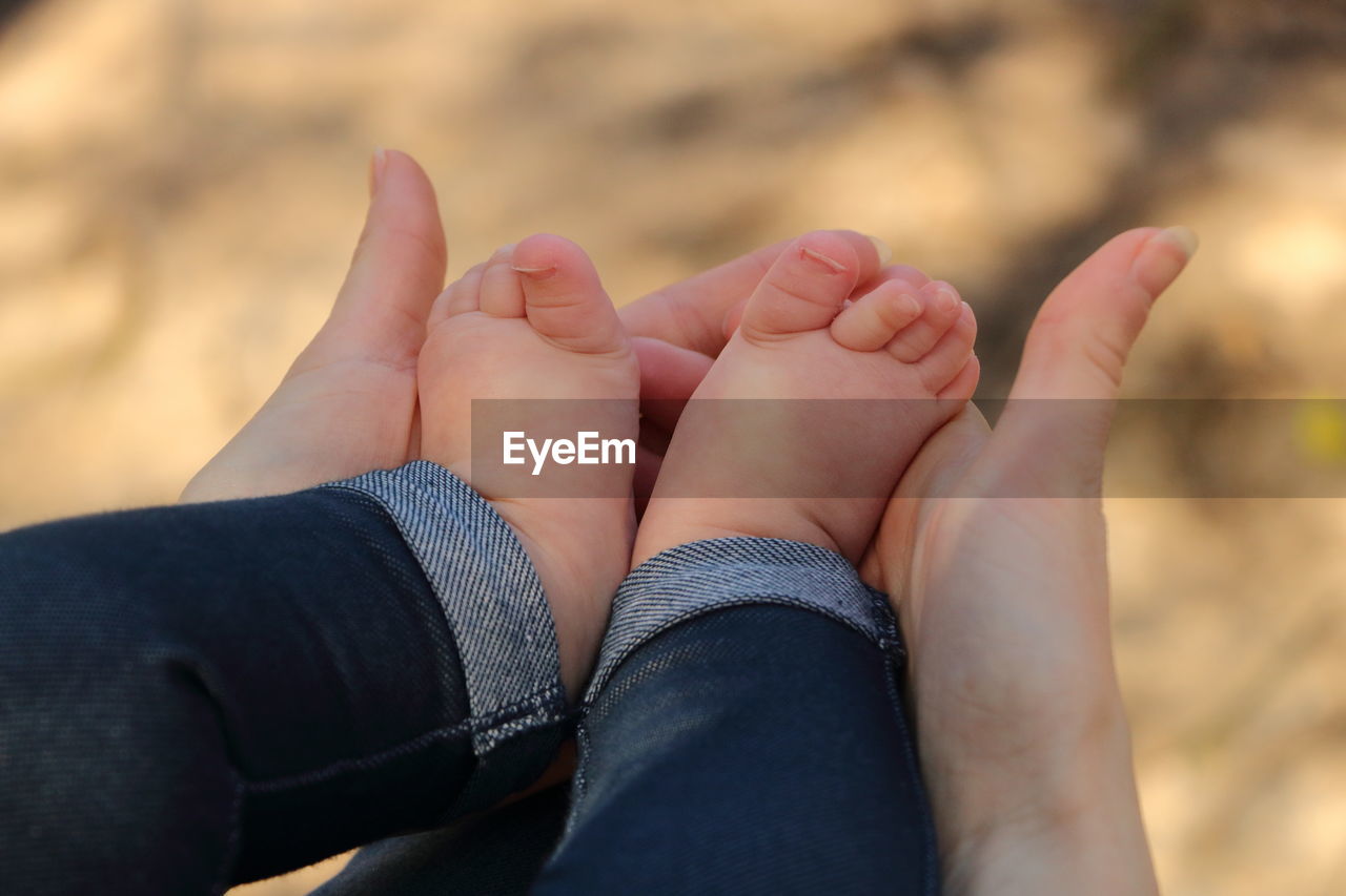 Low section of adult holding baby's feet
