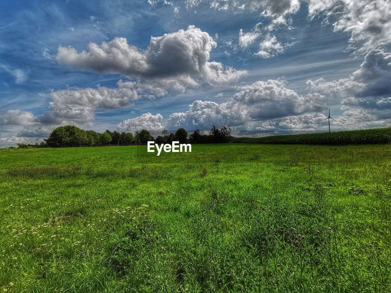 SCENIC VIEW OF GRASSY FIELD AGAINST SKY