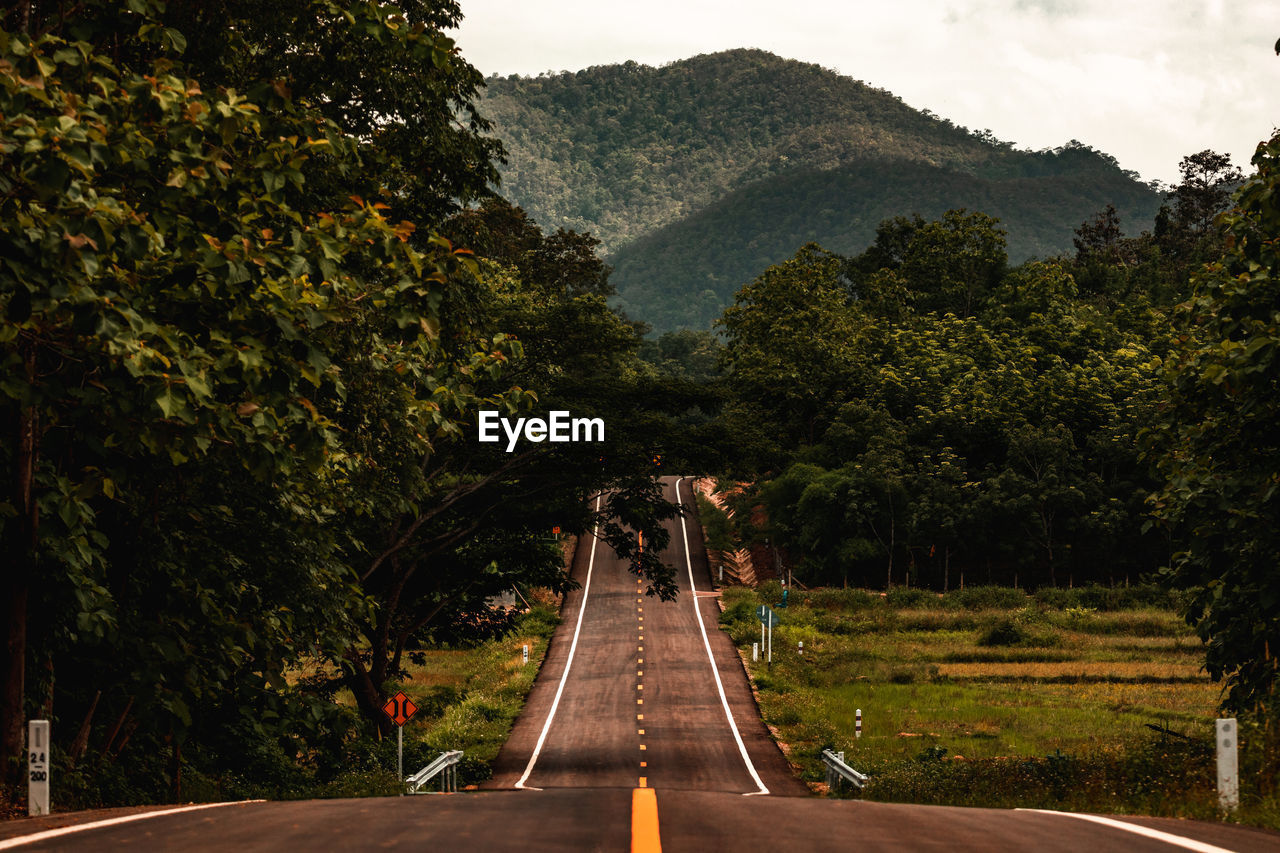 Road amidst trees against sky